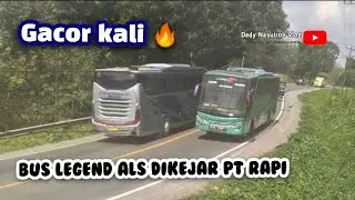 Gacor kali 🔥 bus legend ALS di kejar bus PT Rapi, banyak bus telat kena macet #busmania