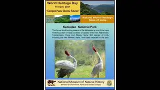 World Heritage Day 2021: Online Exhibition on the theme - &ldquo;Natural World Heritage of India&rdquo;
