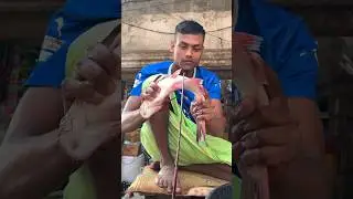 Amazing Great Delicious Pangas Fish Cutting Expert Live In Fish Market
