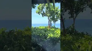 Bohol Bee Farm Secrets in Bohol #BoholBeeFarm #BoholTravel