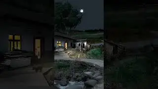 #naturelovers #amazing #naturesounds #relaxing #satisfying #nature #rainsounds #rain #moon #beach