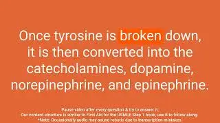 Catecholamine Synthesis and Tyrosine Catabolism: A Comprehensive Review (Q&A Format)