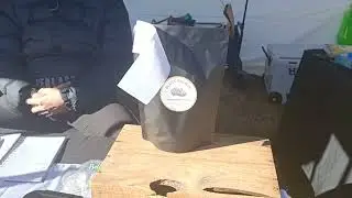 Black garlic from Elephant garlic or NARC G1 in Canberra Australia