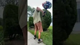 Trimming MASTERCLASS 🌳💯🌳 #shorts #backyardlandscaping #landscaping #youtube #fyp #motivation