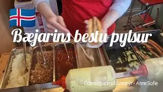 B&AElig;JARINS BESTU PYLSUR, Iceland