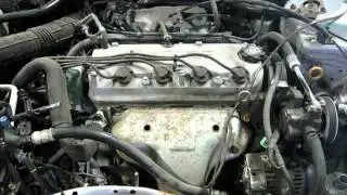 1999 HONDA ACCORD STOCK S12014 SOUTH WEST ENGINES
