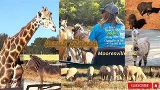 Lazy 5 Ranch, Mooresville, North Carolina