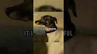 Скрытая история этого портрета 😯