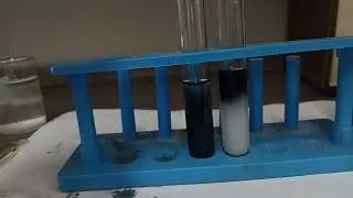 Detection of starch | Iodine test | Biochemical test | Tests for Starch (Polysaccharide)#biologylab