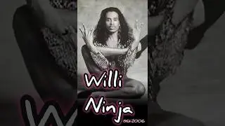 Willi Ninja #short #shorts #shortsfeed #history #blackhistory #education