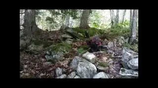 Trail On Cobequid Rd