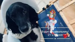 7. Будні вишивальниці 21.01-27.01. Два фініші з зимових стартів!🎉