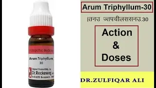 Arum Triphyllum | अरुम ट्राइफाइलम | Action | Doses | Explained in Urdu/Hindi