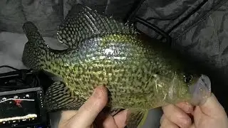 Ice Fishing MN - Chasing Big Crappie Big Bluegills - Random Clips