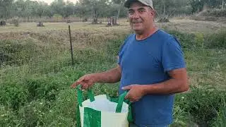 Empiezo la cosecha de la huerta, y un día de perros
