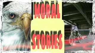 morality short stories you should learn a lesson.eagles life and manhood