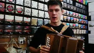 Serenellini 273 Deluxe played by Ben in Hobgoblin Music Leeds