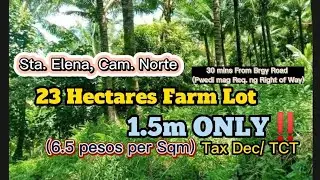 Not available‼️ Murang FARM LOT / 6.5 PESOS PER SQM LANG/ 23 HECTARES (1.5m total) madami pa prudokt