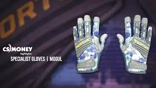 CS:GO | Specialist Gloves - Mogul