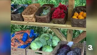 Learn more about Charity Bowl beneficiary The Pantry Chapel