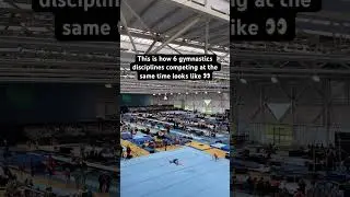 This is how 6 gymnastics disciplines competing at the same time looks like 👀 #gymnastics