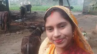bina channal monetise kiye kaise earning kare