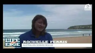 Coastcare - Australian Seabird Rescue