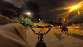 zoozer walking doberman pinscher night