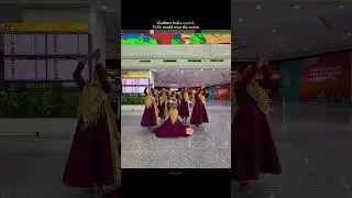 if culture had a captain Delhi #viral #travel #youtubeshorts