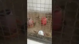 how farm coiler