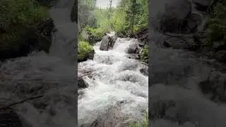 Rocky Mountain Rivers #nature #rockies #colorado #mountains #adventure #rmnp #fyp