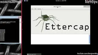 ARP спуфинг в Kali Linux  Взлом, защита и описание технологии