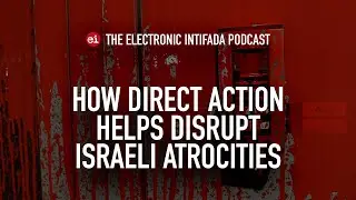 How direct action helps disrupt Israeli atrocities, with Huda Ammori