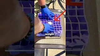 Testing ​⁠@Purple&rsquo;s &lsquo;Egg Drop Test&rsquo; - Is It Actually True? #ad #purpleeggtest