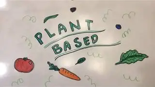 Plant Based For The Climate: The Climate Change Challenge Honorable Mention