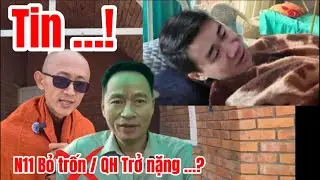 N11 trốn chạy/ Quang Hề tiên lượng xấu/ Xúc Giác đói ăn…!