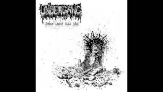 Undergang - Det G&oslash;r Kun Ondt Til Du D&oslash;r