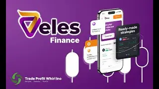 Vales Finance Bot Creation