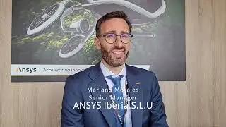 ANSYS VIDEO ITW