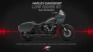 Zard for Harley Davidson Low Rider ST | Sound Slip-on Racing