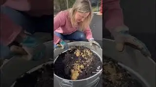 How to Make a Mini Herb Garden