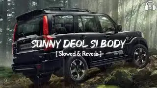 Sunny Deol Si Body Re (Slowed & Reverb) Raju Punjabi | Choudhar Jaat Ki Latest Haryanvi Song