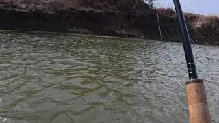 Bobber Down!! Tight Line After The Significant Snow Thaw!!
