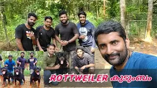Rottweiler നായകളുമായി Rott Chapter's Thrissur | Rott Lovers 🐶