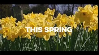 Great British Spring Clean 2022 - Thank you!