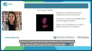 Increasing self-motivation in young people with ADHD - Executive Function - Prof Margaret Sibley