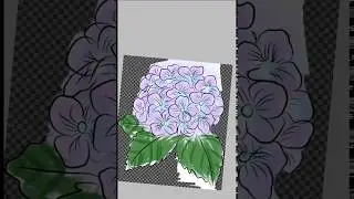 Hydrangeas: Adobe Illustrator Draw CC & ibisPaint X [apps]