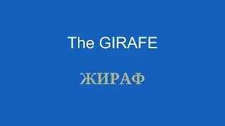 Animal Vocabulary Learn Russian