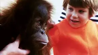 Small ad for San Diego Zoo - 16mm film