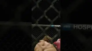 nakaut#mma #animals #gorilla #ufs #kinima_allagis